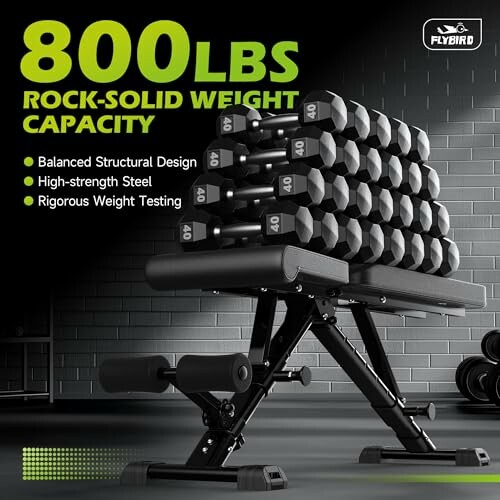 Adjustable weight bench with stacked dumbbells, 800 lbs capacity.