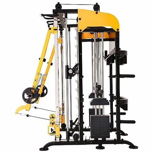 Multi-functional gym equipment with weights and pulleys