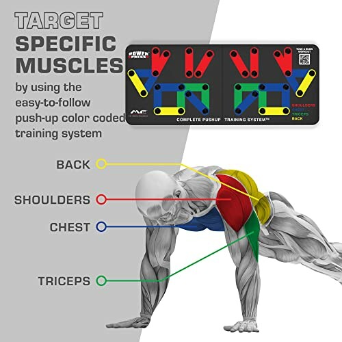 Color-coded pushup board targeting specific muscles: back, shoulders, chest, triceps.